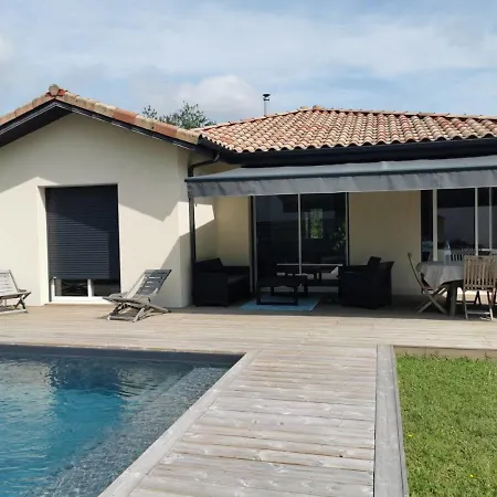 En Lisière De Forêt