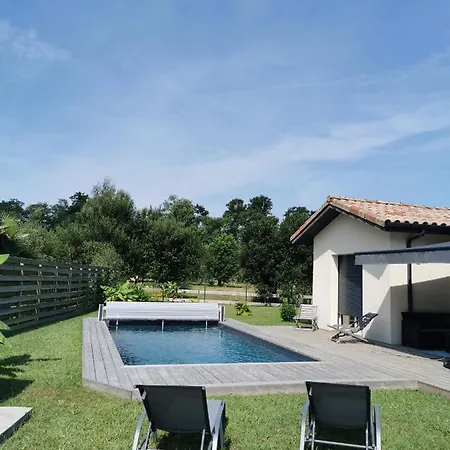 En Lisiere De Foret * Seignosse