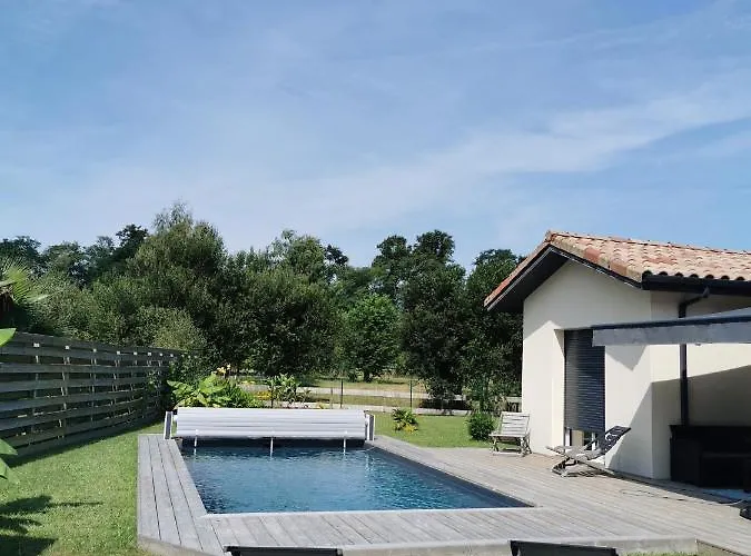 En Lisiere De Foret * Seignosse